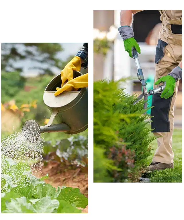 Gartenpflege Entdecken Sie unseren umfangreichen Service